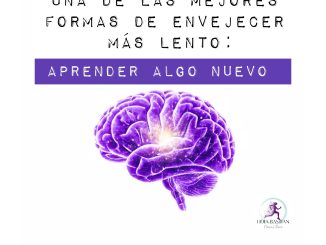 Envejecer lento. Lidia Bastian nutricion coaching