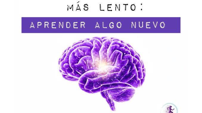 Envejecer lento. Lidia Bastian nutricion coaching