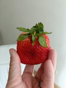 Azucar. Lidia bastian. Dietas o nutricion